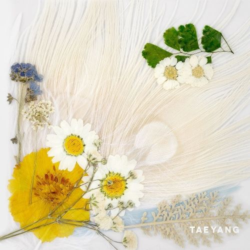 download TAEYANG – WHITE NIGHT mp3 for free