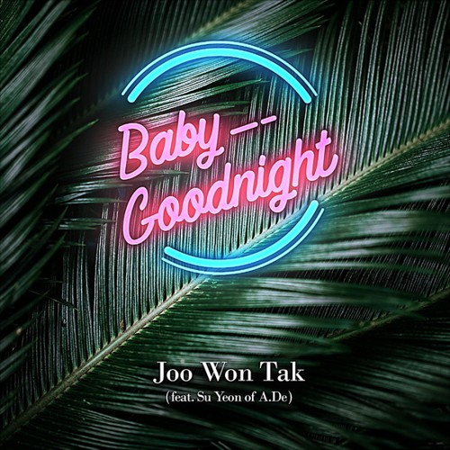 download JOO WON TAK - Baby Goodnight mp3 for free