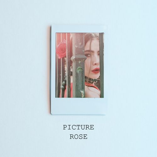 download Rose – Picture mp3 for free
