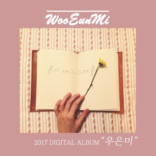 download Woo Eun Mi - If I Could mp3 for free
