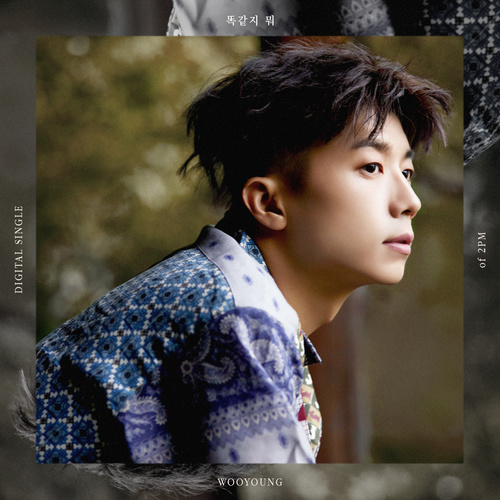 download 장우영 - 똑같지 뭐 mp3 for free