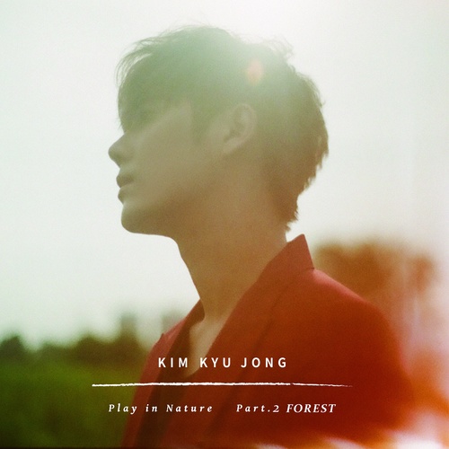download 김규종 - Play in Nature Part.2 FOREST mp3 for free