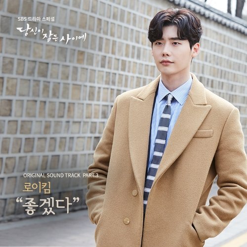 download Roy Kim - While You Were Sleeping OST Part.3 mp3 for free