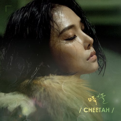 download CHEETAH – Stagger mp3 for free