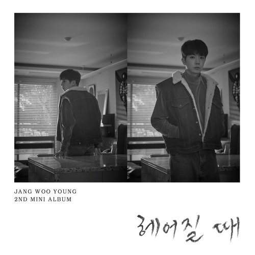 download Jang Woo Young – BYE mp3 for free