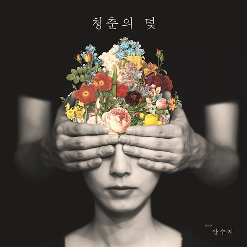 download Ahn Soo Ji – 청춘의 덫 mp3 for free
