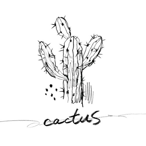 download N (VIXX) – Cactus mp3 for free