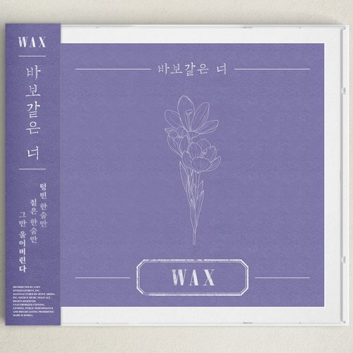 download Wax – 바보같은 너 mp3 for free