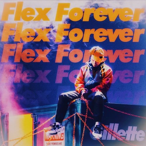 download The Quiett – Flex Forever mp3 for free