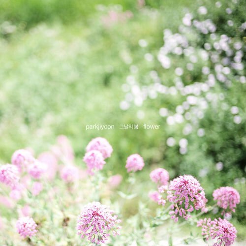 download Park Ji Yoon – FLOWER mp3 for free