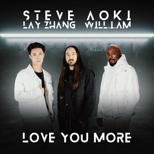 download Steve Aoki - Love You More (feat. LAY) mp3 for free