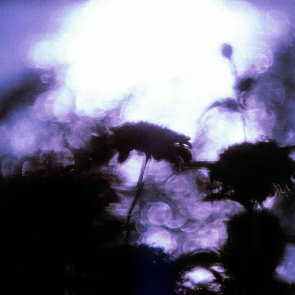 download mp3 for free