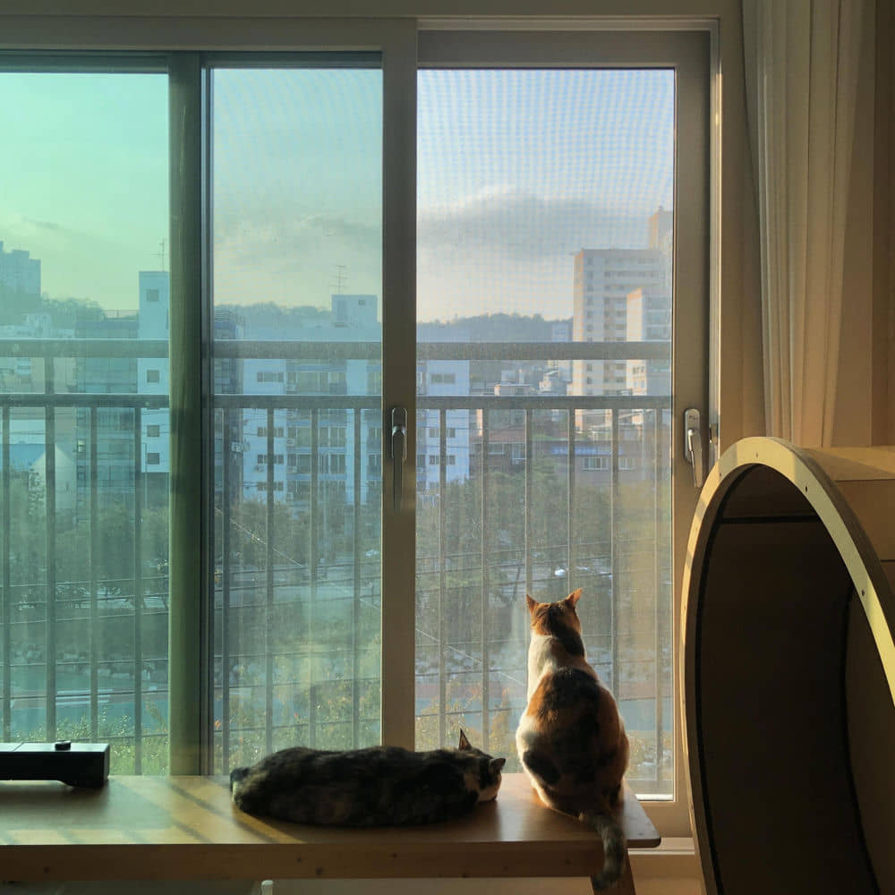 download mp3 for free