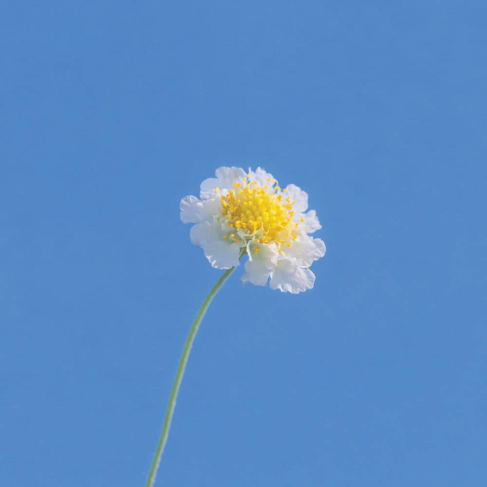 download mp3 for free